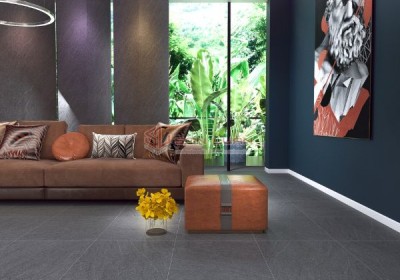 Gạch Ốp Lát APODIO 66264001